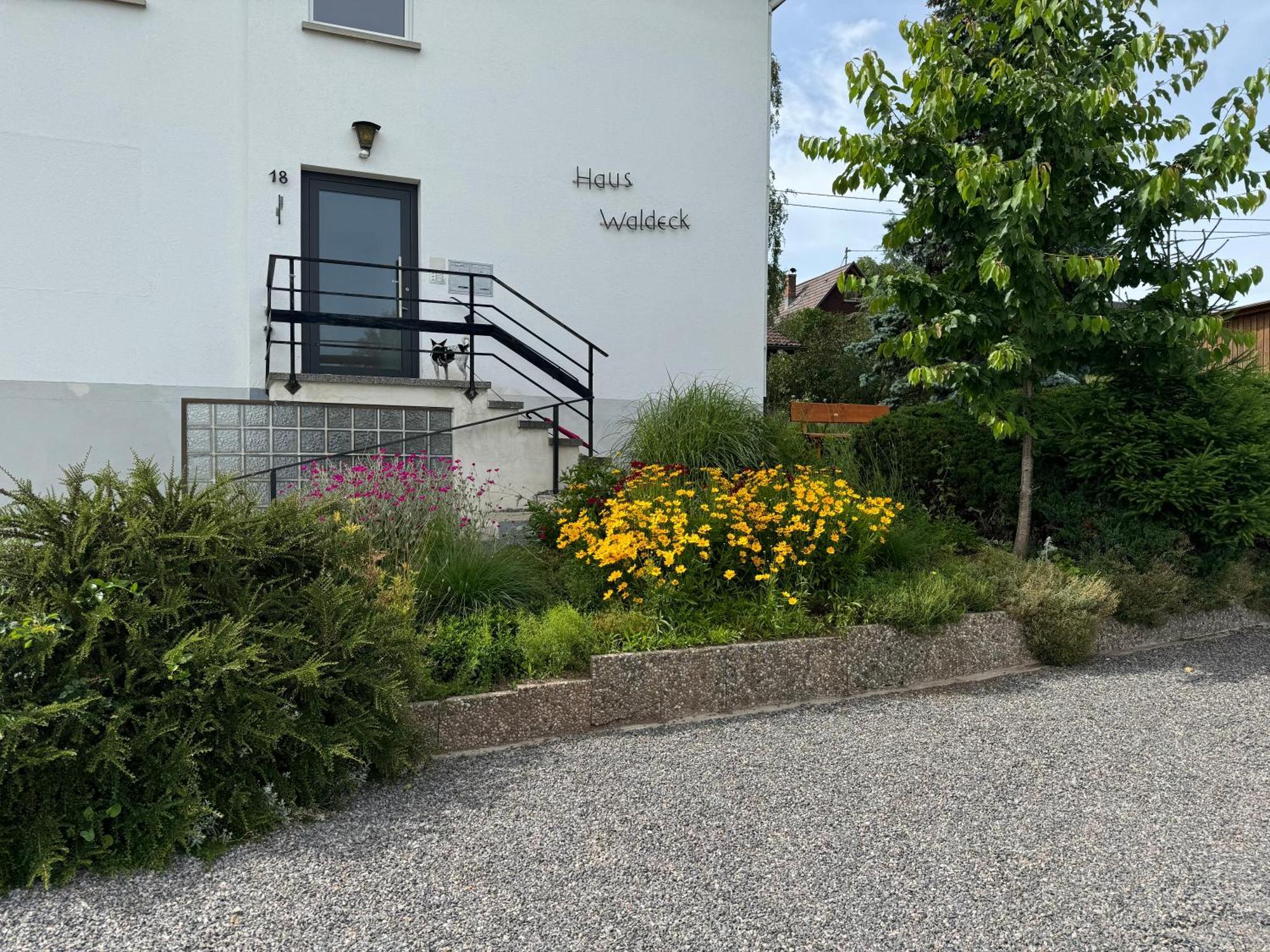 Haus Waldeck Daire Ühlingen-Birkendorf Dış mekan fotoğraf